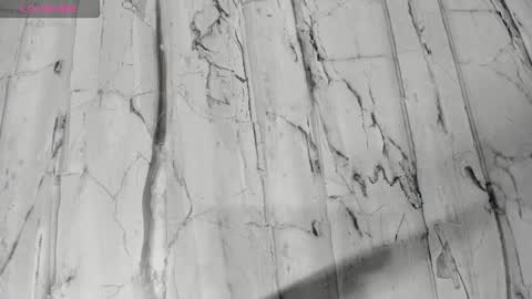 laiily bell online show from February 24, 2026, 12:25 pm