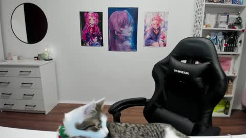 Snapshot of lain__ chatting on December 17, 2024, 6:31 pm Kira online show from December 17, 2024, 6:31 pm