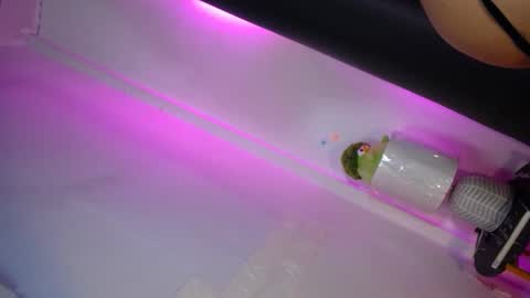 Snapshot of lala_lunaa chatting on February 16, 2026, 6:37 pm luna online show from February 16, 2026, 6:37 pm