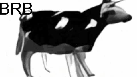 just call me Lana  and her security online show from February 6, 2025, 8:07 am