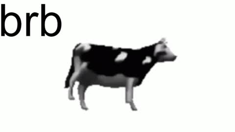 just call me Lana  and her security online show from February 7, 2025, 2:15 pm