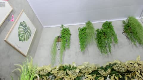 lana_lann online show from December 20, 2024, 11:54 am