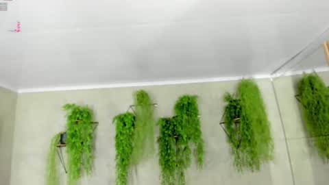 lana_lann online show from January 9, 2025, 12:30 pm