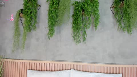 lana_lann online show from January 27, 2025, 11:43 am