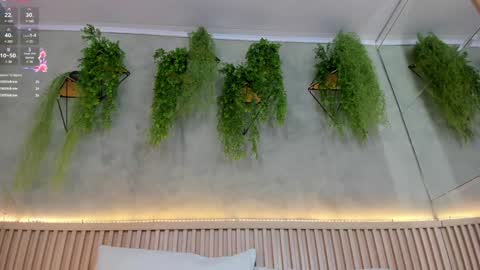 lana_lann online show from February 2, 2025, 5:59 pm