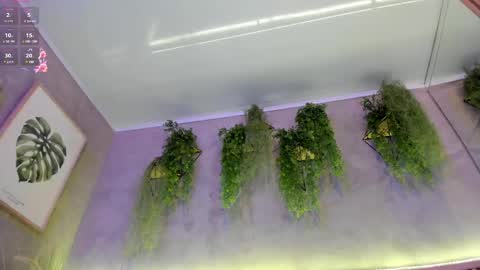 lana_lann online show from February 27, 2025, 1:38 pm