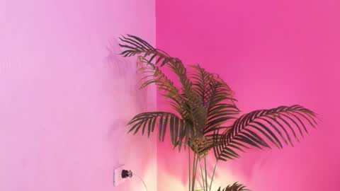 LANA online show from January 18, 2026, 2:59 am