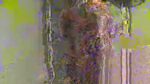 lathams1 online show from April 19, 2026, 8:55 pm