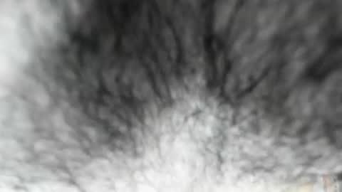 Snapshot of latinhotboys1 chatting on February 3, 2026, 8:08 am Zeus online show from February 3, 2026, 8:08 am