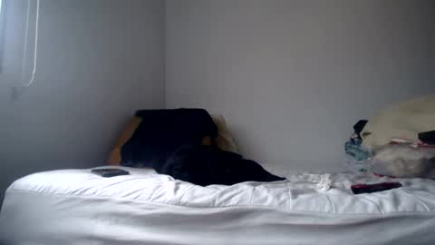 DEXTER online show from February 24, 2025, 8:58 pm