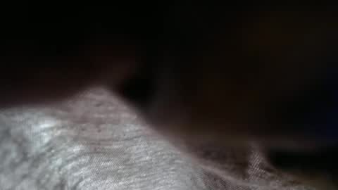 Snapshot of launeeee1 chatting on February 3, 2026, 2:55 pm launeeee1 online show from February 3, 2026, 2:55 pm