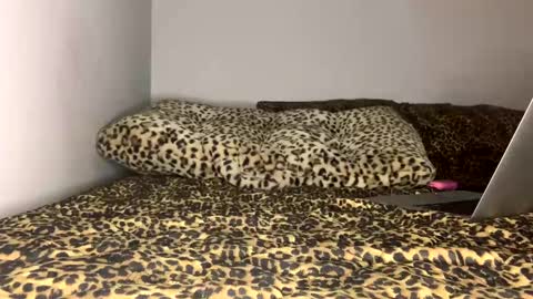 Laycee Layne online show from September 18, 2025, 4:14 am