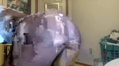 Snapshot of layla216903 chatting on September 21, 2025, 6:48 am layla online show from September 21, 2025, 6:48 am