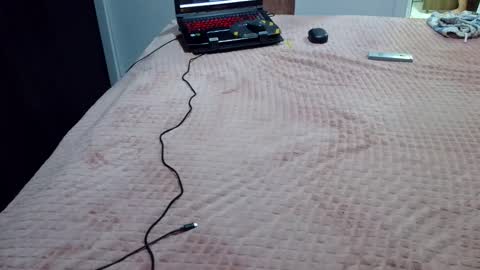 Snapshot of laylabrasil chatting on February 7, 2025, 3:34 am kelly online show from February 7, 2025, 3:34 am