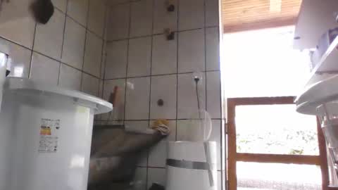 Snapshot of laylabrasil chatting on February 12, 2025, 4:22 pm kelly online show from February 12, 2025, 4:22 pm