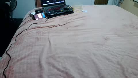 Snapshot of laylabrasil chatting on March 9, 2025, 2:50 am kelly online show from March 9, 2025, 2:50 am