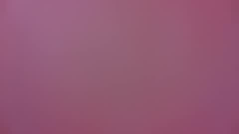 Michel online show from January 17, 2025, 6:23 pm