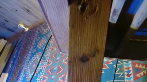 Snapshot of lefrancais33000 chatting on December 19, 2024, 5:50 pm Dliciousman online show from December 19, 2024, 5:50 pm