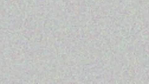 Snapshot of lenablooms chatting on May 23, 2026, 2:39 am lenablooms online show from May 23, 2026, 2:39 am