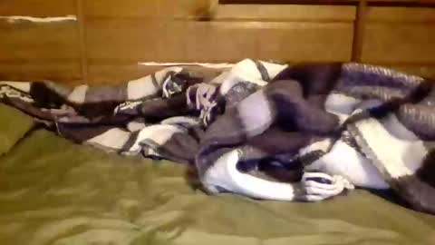 Snapshot of leskator9 chatting on November 7, 2025, 9:09 am leskator9 online show from November 7, 2025, 9:09 am