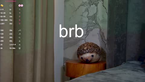 Leslie online show from January 14, 2025, 8:31 am