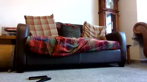 Snapshot of letmestrip chatting on February 9, 2026, 9:02 am paul online show from February 9, 2026, 9:02 am