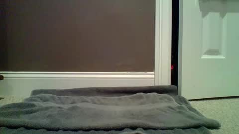 Lets Orgasm  online show from January 27, 2025, 12:54 am