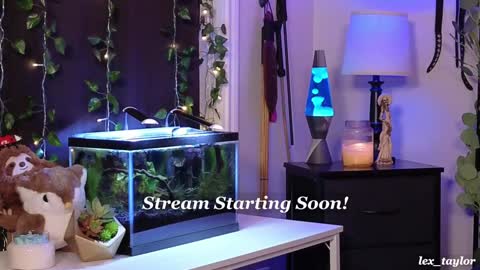 Snapshot of lex_taylor chatting on January 7, 2025, 3:46 am Lex online show from January 7, 2025, 3:46 am