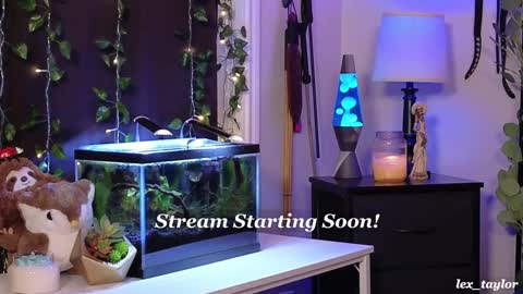 Snapshot of lex_taylor chatting on January 15, 2025, 3:22 am Lex online show from January 15, 2025, 3:22 am