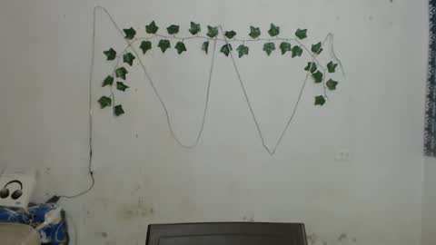 lolita online show from January 4, 2025, 2:14 pm