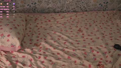 Snapshot of libbyshepard chatting on October 14, 2025, 12:50 pm Elena online show from October 14, 2025, 12:50 pm