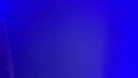 Snapshot of lickyouryoni chatting on January 1, 2025, 2:52 pm LickYourYoni online show from January 1, 2025, 2:52 pm