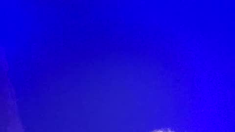 Snapshot of lickyouryoni chatting on March 3, 2025, 2:48 pm LickYourYoni online show from March 3, 2025, 2:48 pm