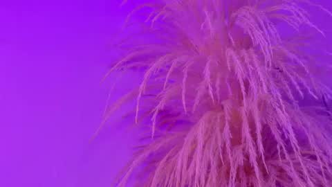Snapshot of liiamluna chatting on May 6, 2026, 11:04 am Liiam Luna online show from May 6, 2026, 11:04 am