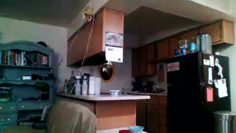 likerightnow online show from April 2, 2026, 3:04 am