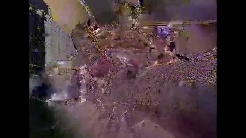 liketowatch1234529419 online show from June 3, 2026, 2:33 pm