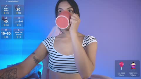       NEXT TRANSMITION 03 DEC online show from January 18, 2025, 7:38 am