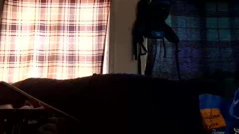 Snapshot of lildurke65 chatting on February 10, 2026, 9:19 pm lildurke65 online show from February 10, 2026, 9:19 pm