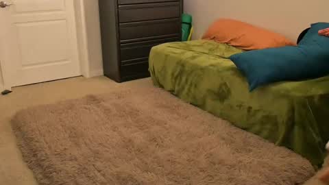 L online show from February 14, 2025, 10:38 am