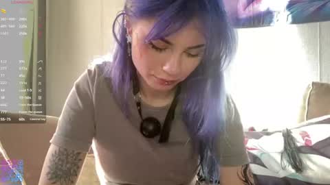 Amelia online show from July 3, 2026, 2:34 pm