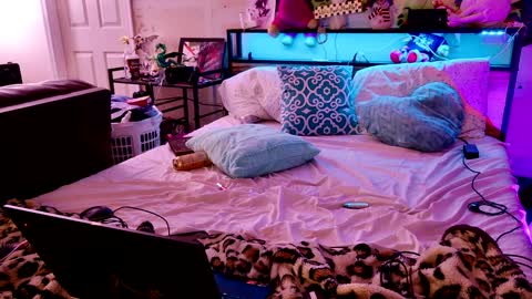 Snapshot of liltrannyslut chatting on January 25, 2025, 9:26 am jasmine spunn online show from January 25, 2025, 9:26 am