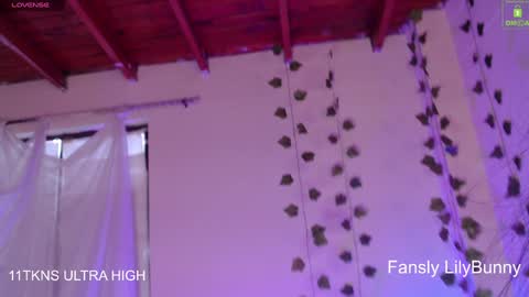 Fansly LilyBunny- help me reach 50 thumbs up online show from December 6, 2024, 10:19 pm