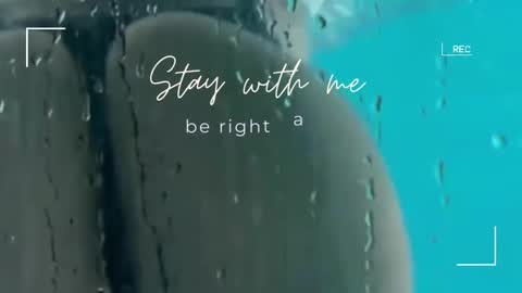 Lily online show from November 9, 2025, 6:33 am