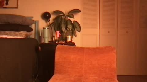 Snapshot of lily_henry chatting on June 19, 2026, 4:39 am Little Lily online show from June 19, 2026, 4:39 am