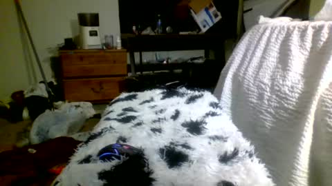 Richie Rich online show from December 30, 2024, 5:13 pm