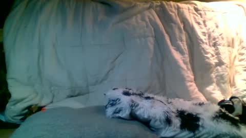 Richie Rich online show from January 13, 2025, 2:39 am