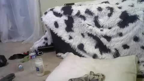 Richie Rich online show from February 18, 2025, 12:28 pm