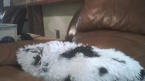 Richie Rich online show from February 20, 2026, 8:31 pm