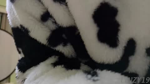 Linzy19 online show from January 12, 2025, 3:17 am