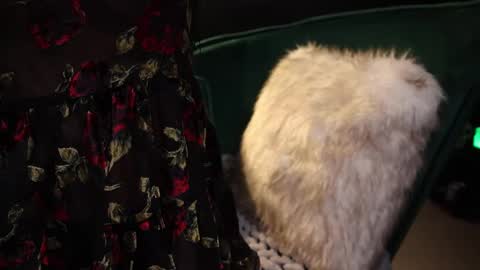 Lire online show from February 20, 2025, 4:18 am